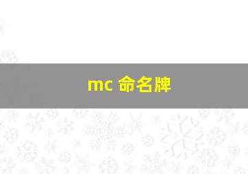 mc 命名牌